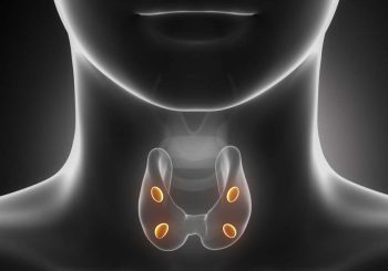 shutterstock- By CLIPAREA l Custom media (1)